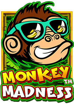 สมัคร Slot XE88SLOT พร้อมเทคนิคเพิ่มโอกาสชนะ